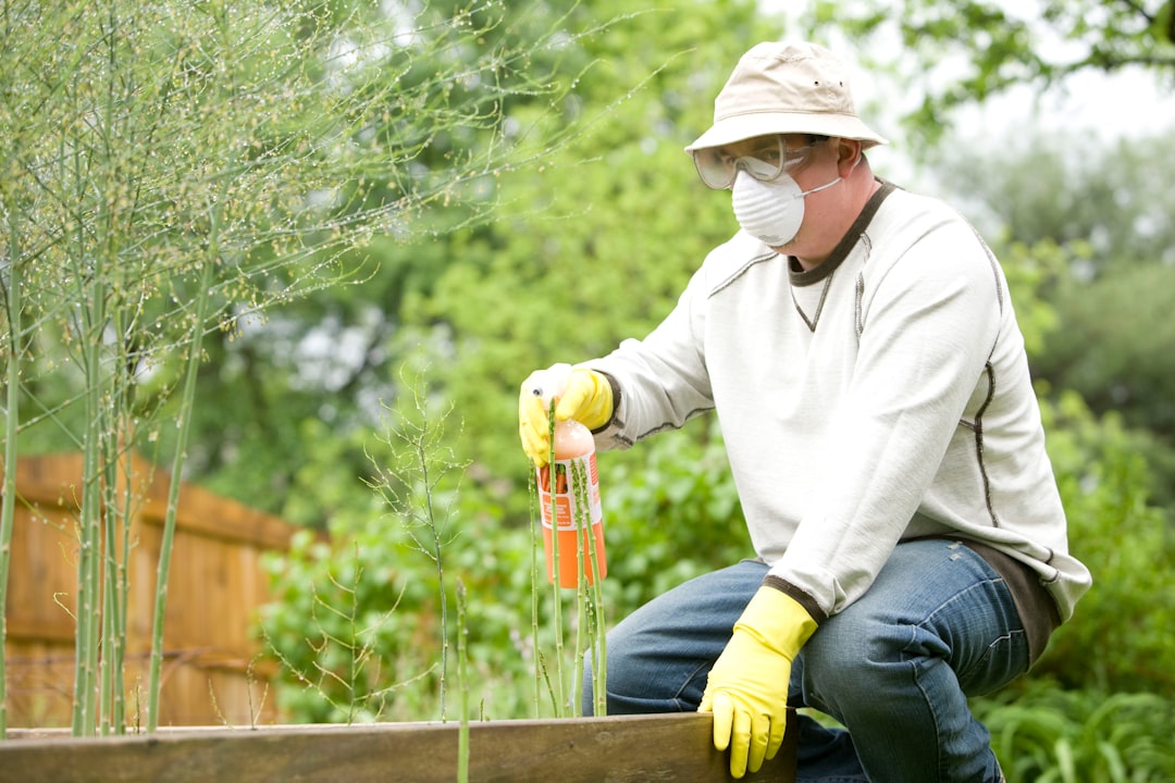 Gardener applying fertilizer to garden
