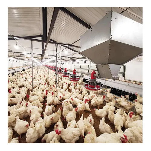 Chicken Litter Fertilizer