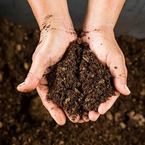 Compost Fertilizer
