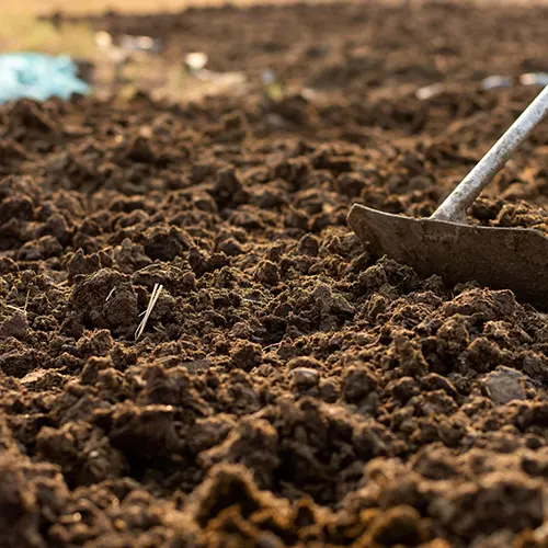 Manure Fertilizer
